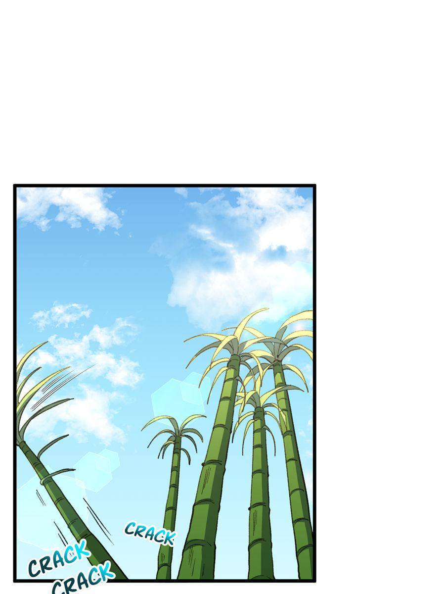 81436200 900 1200 75593